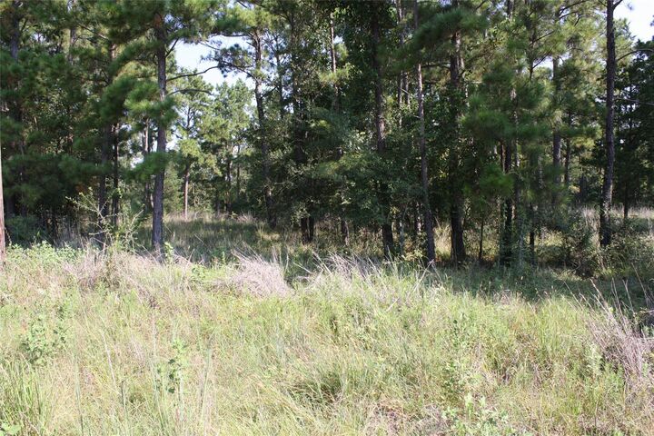 Property Photo:  Lot 3 Morris Lane  TX 77320 