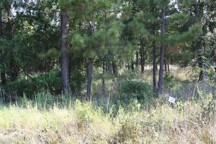 Property Photo: Lot 2 Morris Lane TX 77320