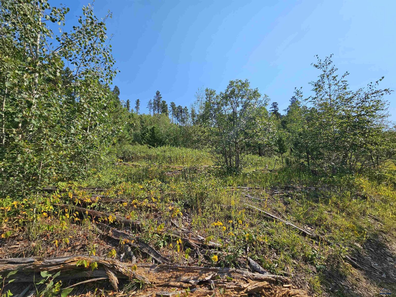 Property Photo: Tbd Other Last Chance Ridge Rd SD 57732