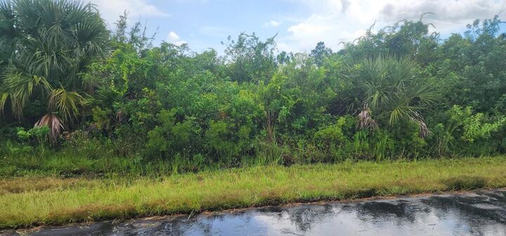 Property Photo: 12170 Zittle Avenue FL 33981
