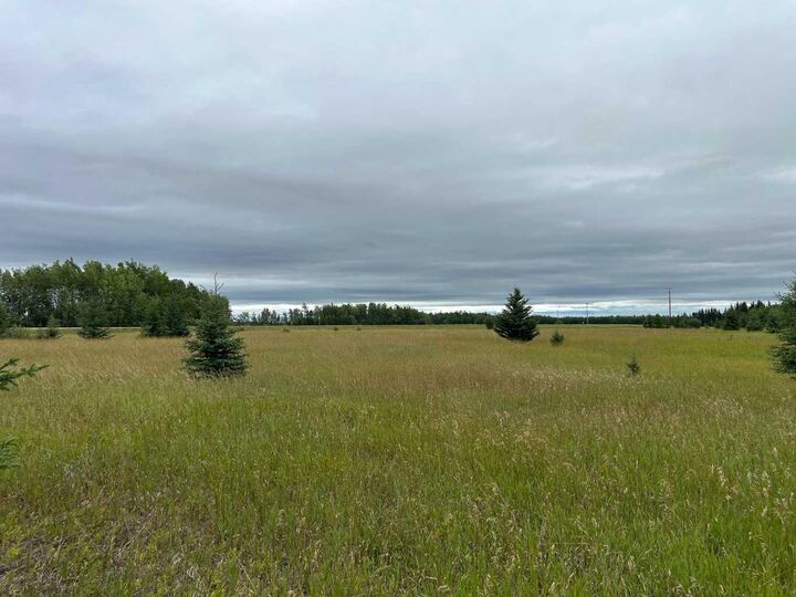 Photo de la propriété:  00000 180 Range  AB T0G 1E0 