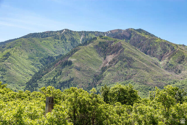 Property Photo: 826 S Summit Creek Dr 44 UT 84653