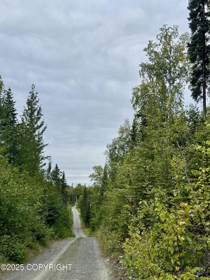 Property Photo:  L14 Pw Shady Acres  AK 99669 