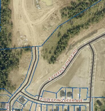 Property Photo:  L9 B2 E Sleeping Deer Ave  ID 83835 