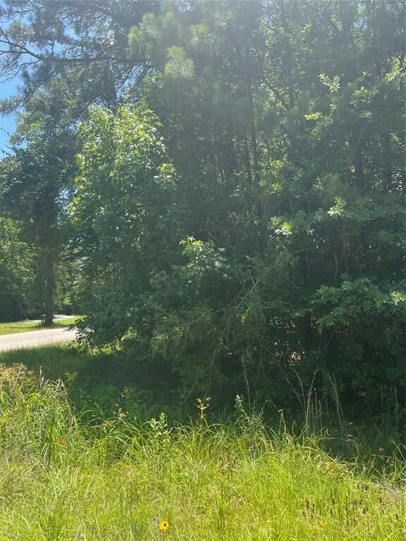 Property Photo: 00 Appian Way TX 77357