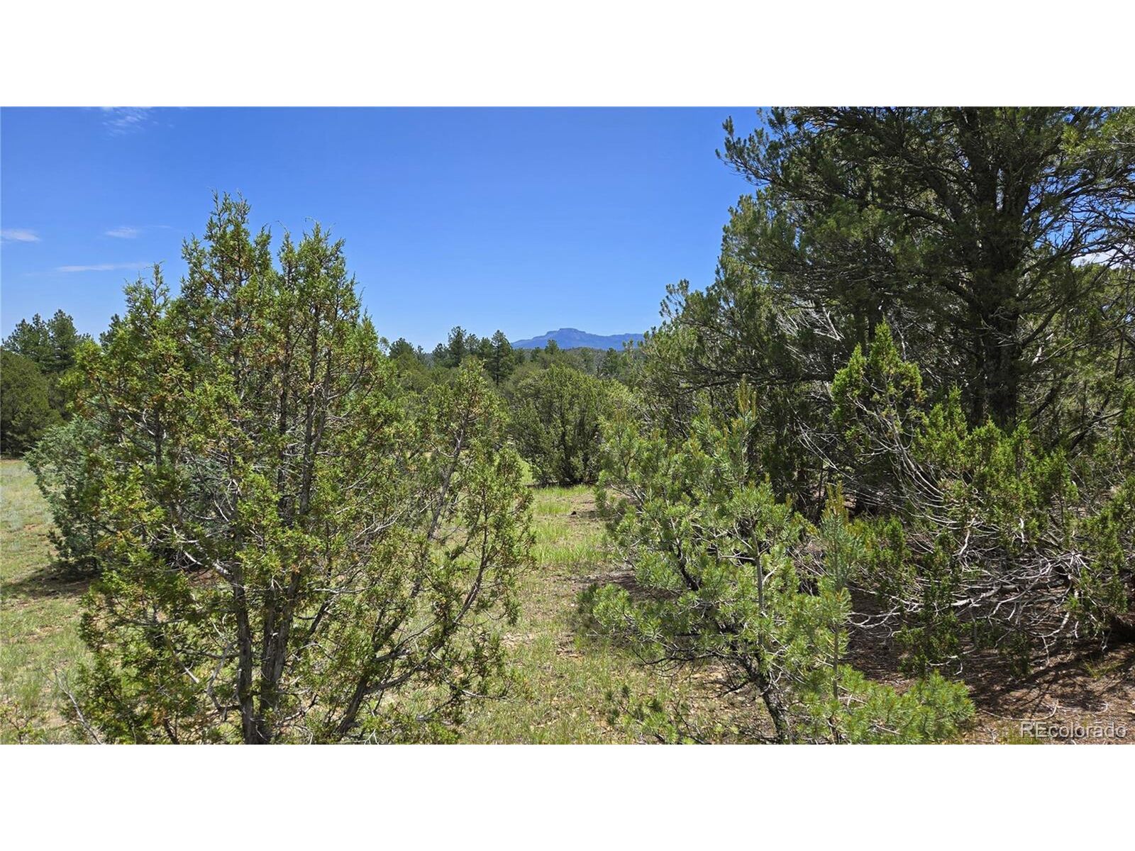 Property Photo: 20 Colorado Mountain Lake Estates CO 81082