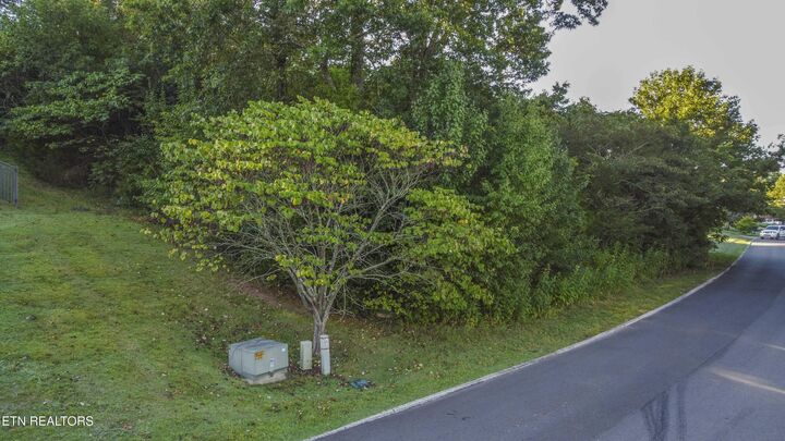 Property Photo:  Lot 60 Bradford Village Way  TN 37763 