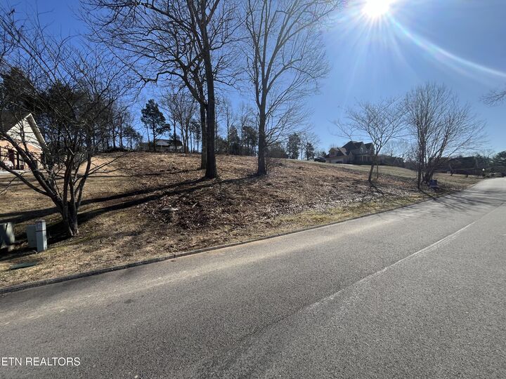 Property Photo:  Lot 60 Bradford Village Way  TN 37763 