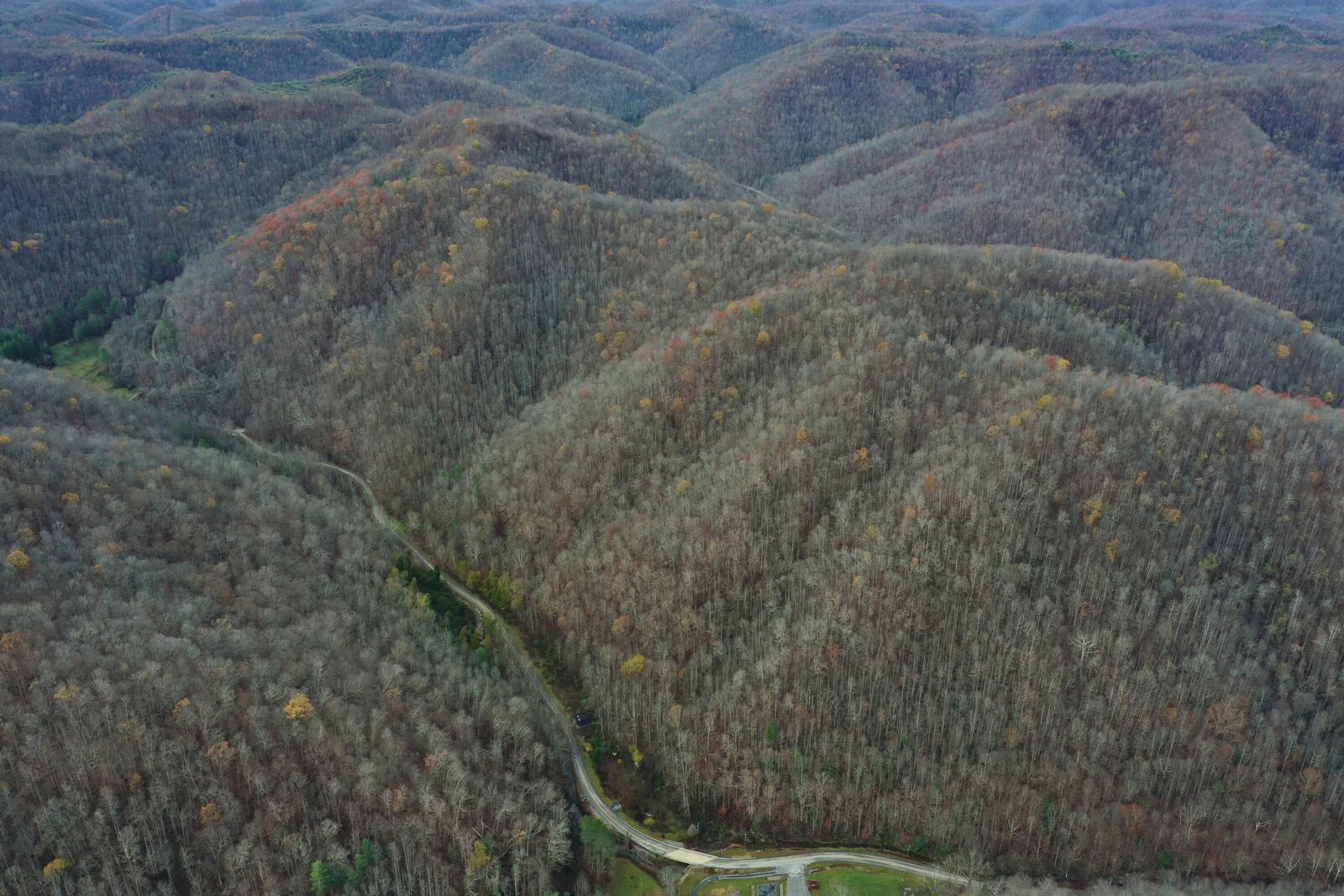 Property Photo: Tract 3 Cow Fork Road KY 40913