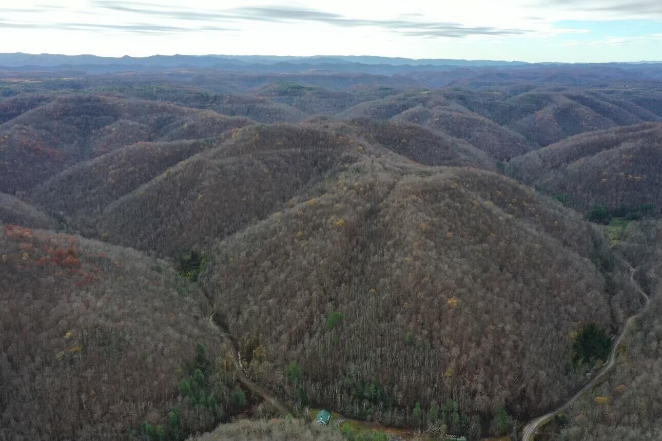 Property Photo: Tract 2 Cow Fork Road KY 40913