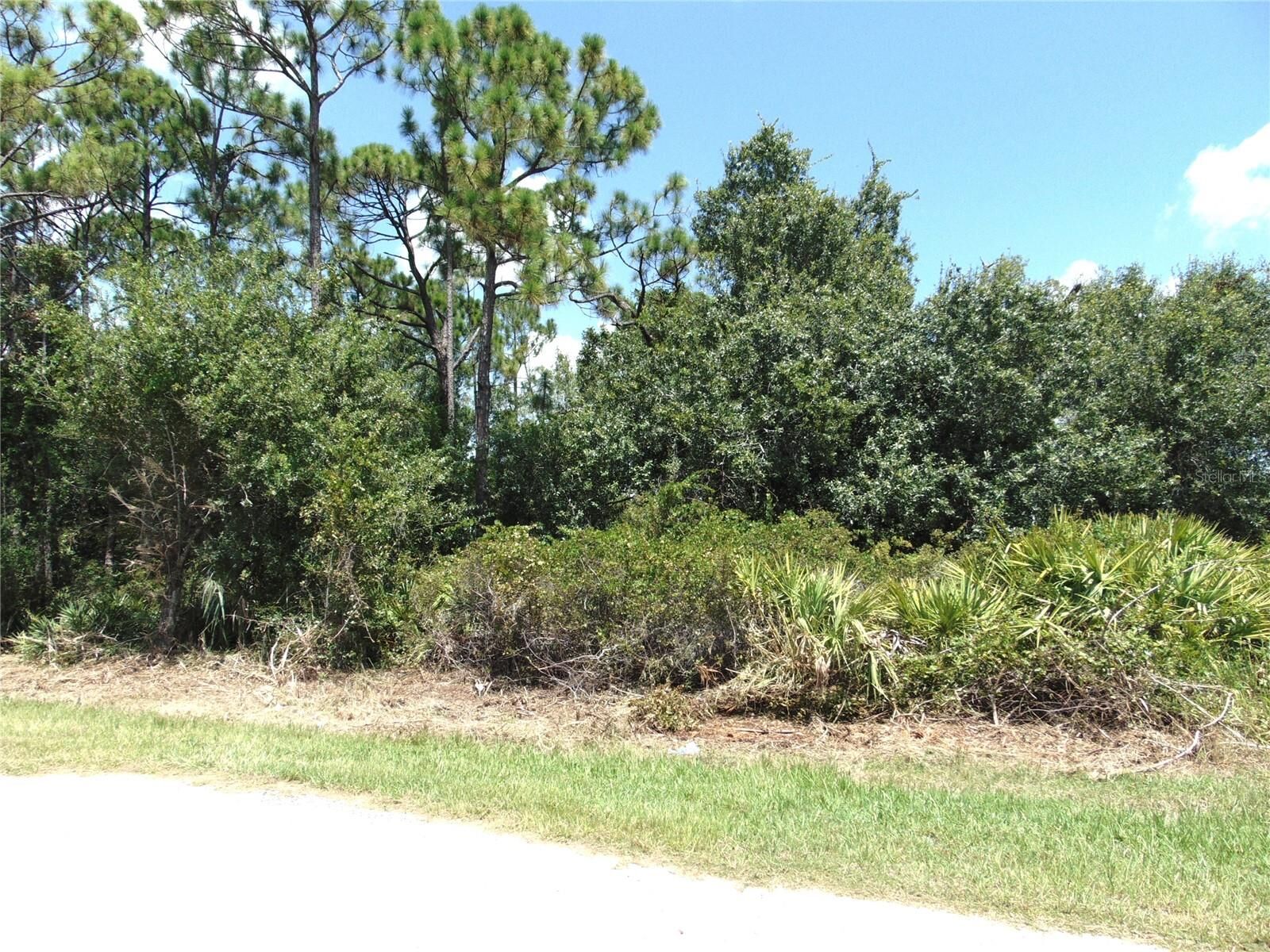 Property Photo:  23376 Corinne Avenue  FL 33980 
