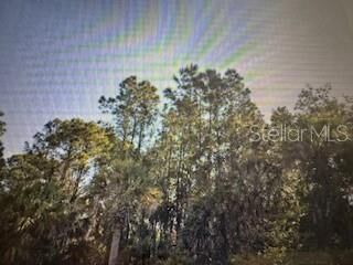 Property Photo: 2299 Dumont Drive FL 33983