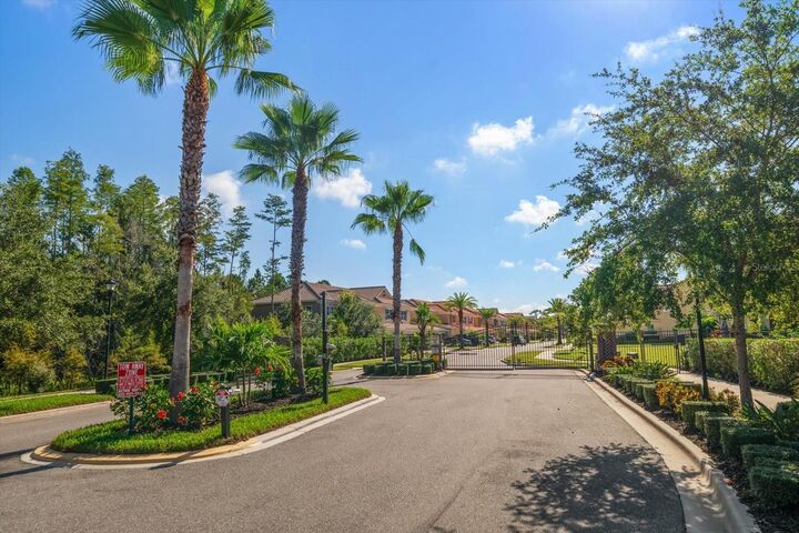 Property Photo: 8735 Terracina Lake Drive FL 33625