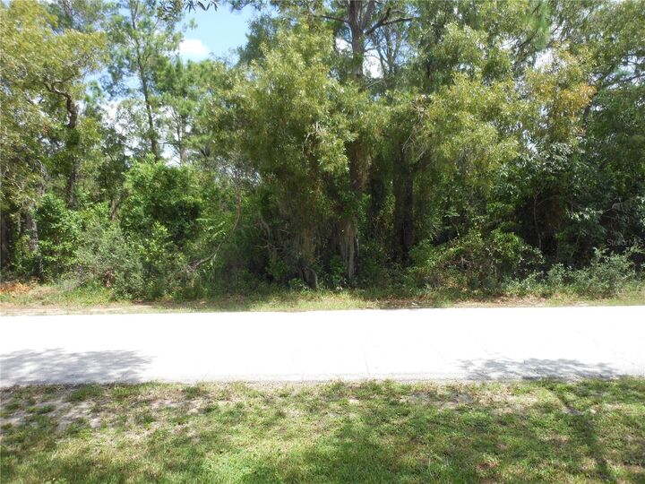 Property Photo:  5128 Abagail Drive  FL 34608 