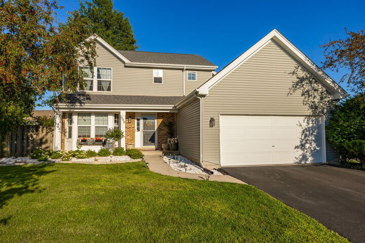 Property Photo: 500 Half Moon Court IL 60543