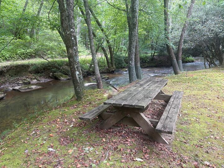 Property Photo:  141 Friendship Lane  GA 30559 