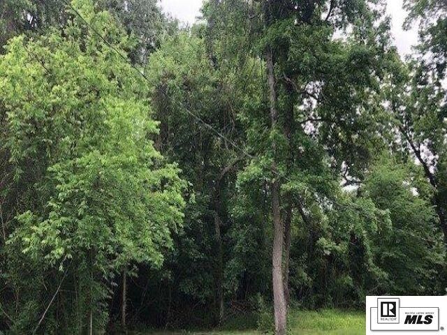 Property Photo:  0 Richwood Road #1  LA 71202 