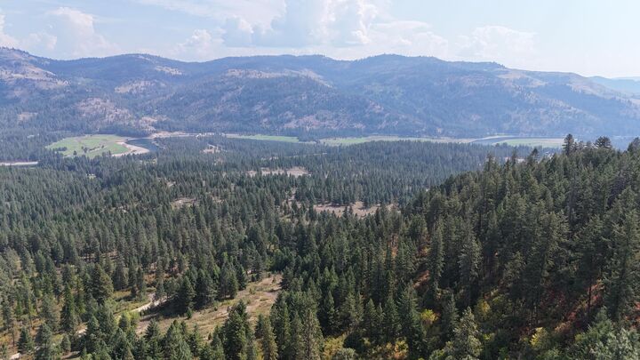 Property Photo:  137 Matsen Creek Rd  WA 99141 