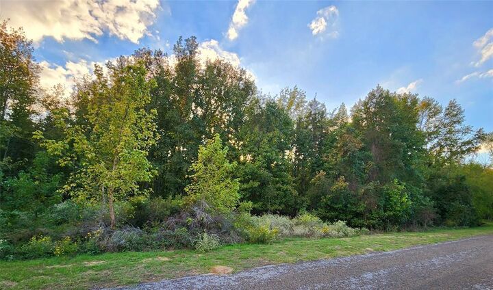 Property Photo:  Lot 283 Eland Trail  TX 75770 