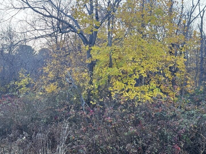 Property Photo: Lot 8 Lawler Ln MA 02072