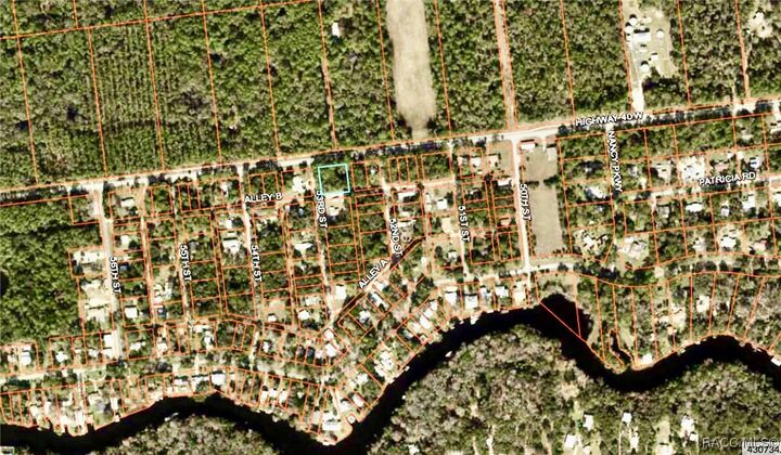 Property Photo: 000 Hwy 40 Highway FL 34498