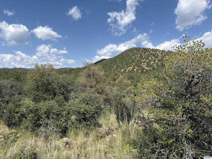 Property Photo:  Xy Black Dog Road  NM 88061 