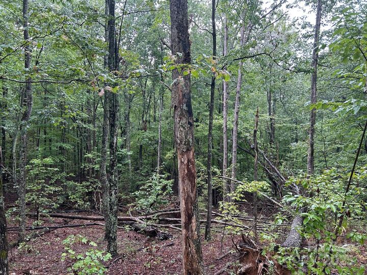 Property Photo: 90 Adirondack Trail 88 NC 28761