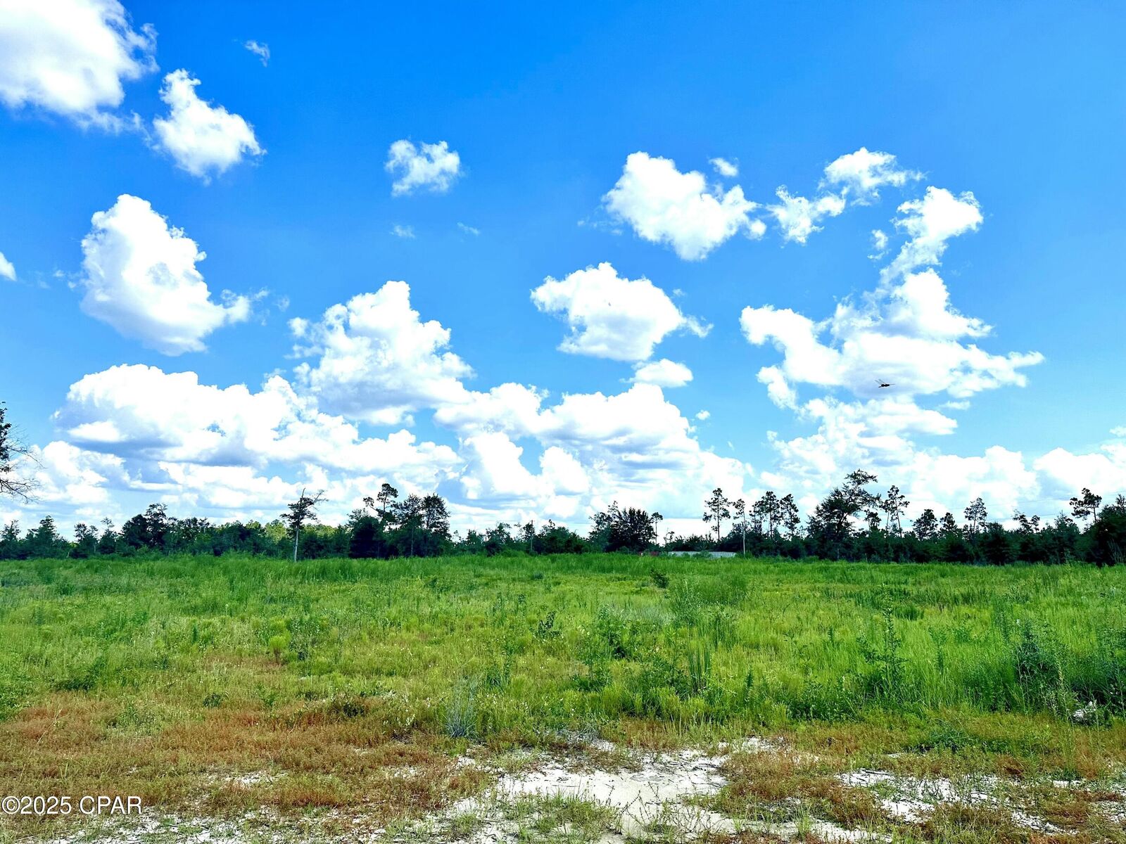 Property Photo: 12810 Hwy 231 FL 32466