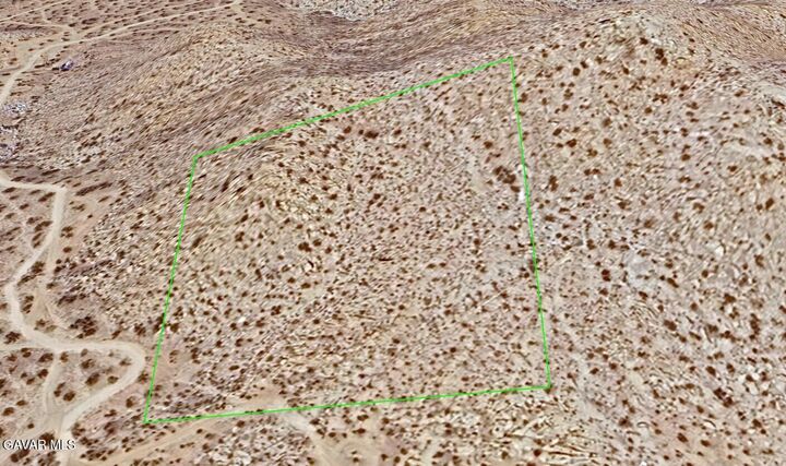 Property Photo: 130th St E And Ave N CA 93591