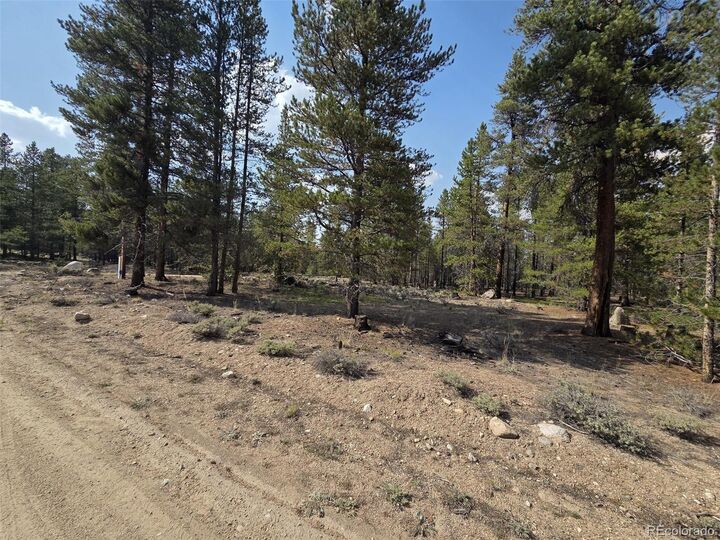 Property Photo:  455 Spruce Dr  CO 80461 