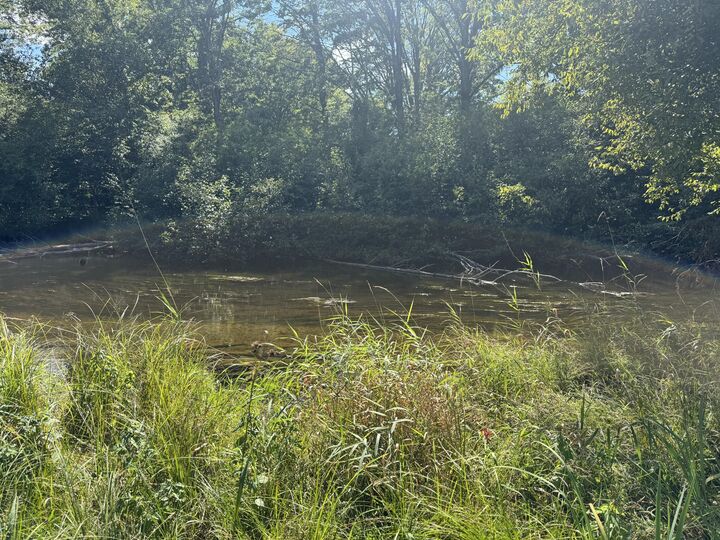 Property Photo:  6685 Cedar Trace  MI 49346 