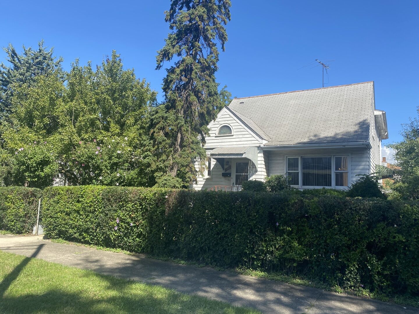 Property Photo:  105 E 24th Street  IL 60411 