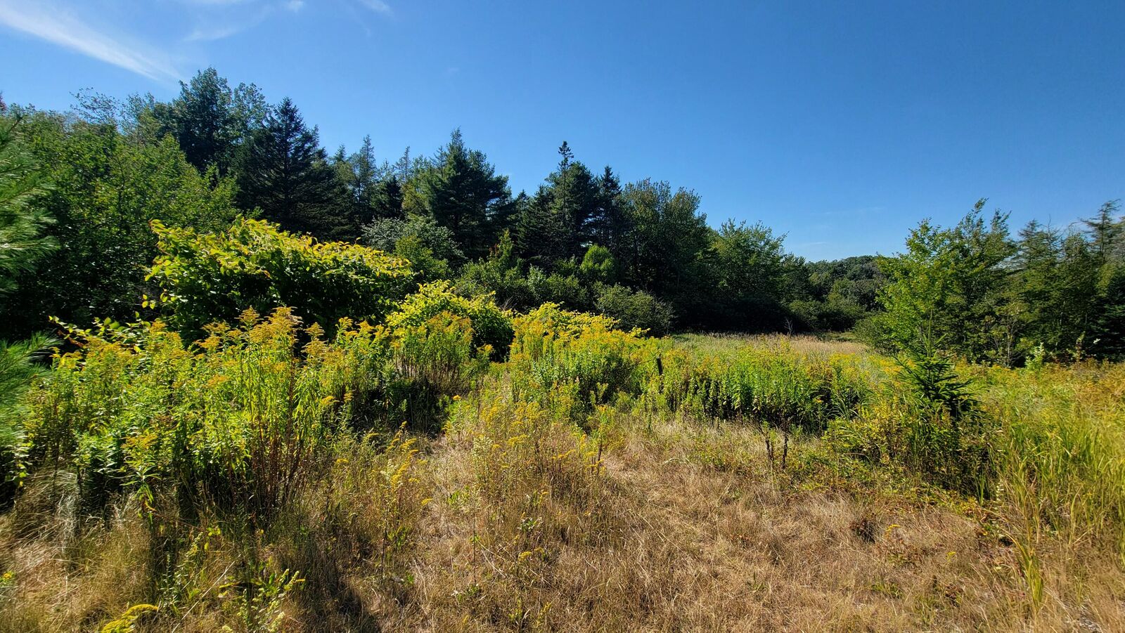 Property Photo: Lot 23 Bay Road ME 04648