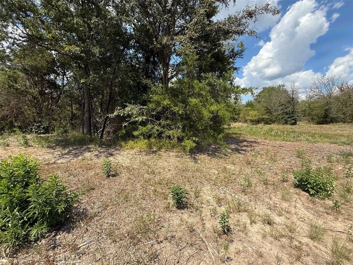 Property Photo:  2424 County Road 3562  TX 75437 