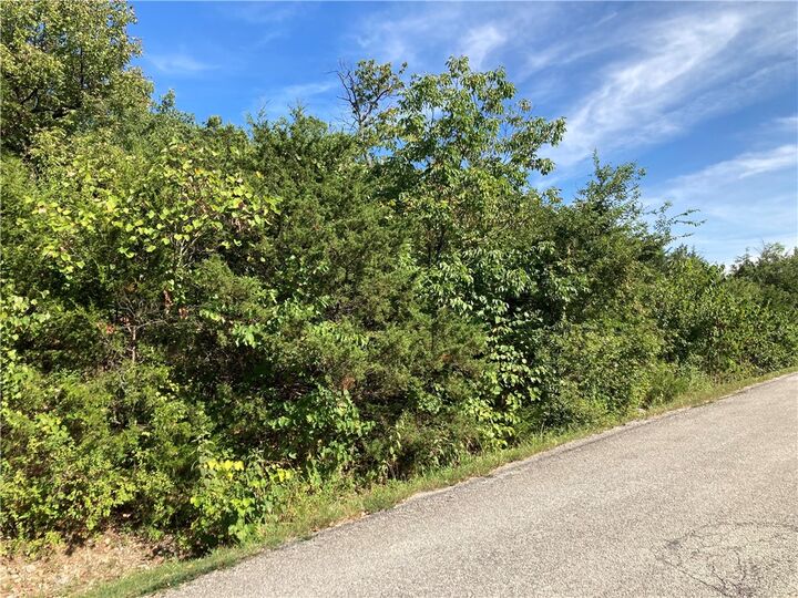 Property Photo: Tbd Hillside Drive AR 72631