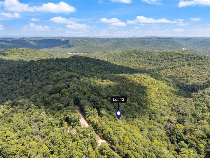 Cr-206  Eureka Springs AR 72632 photo