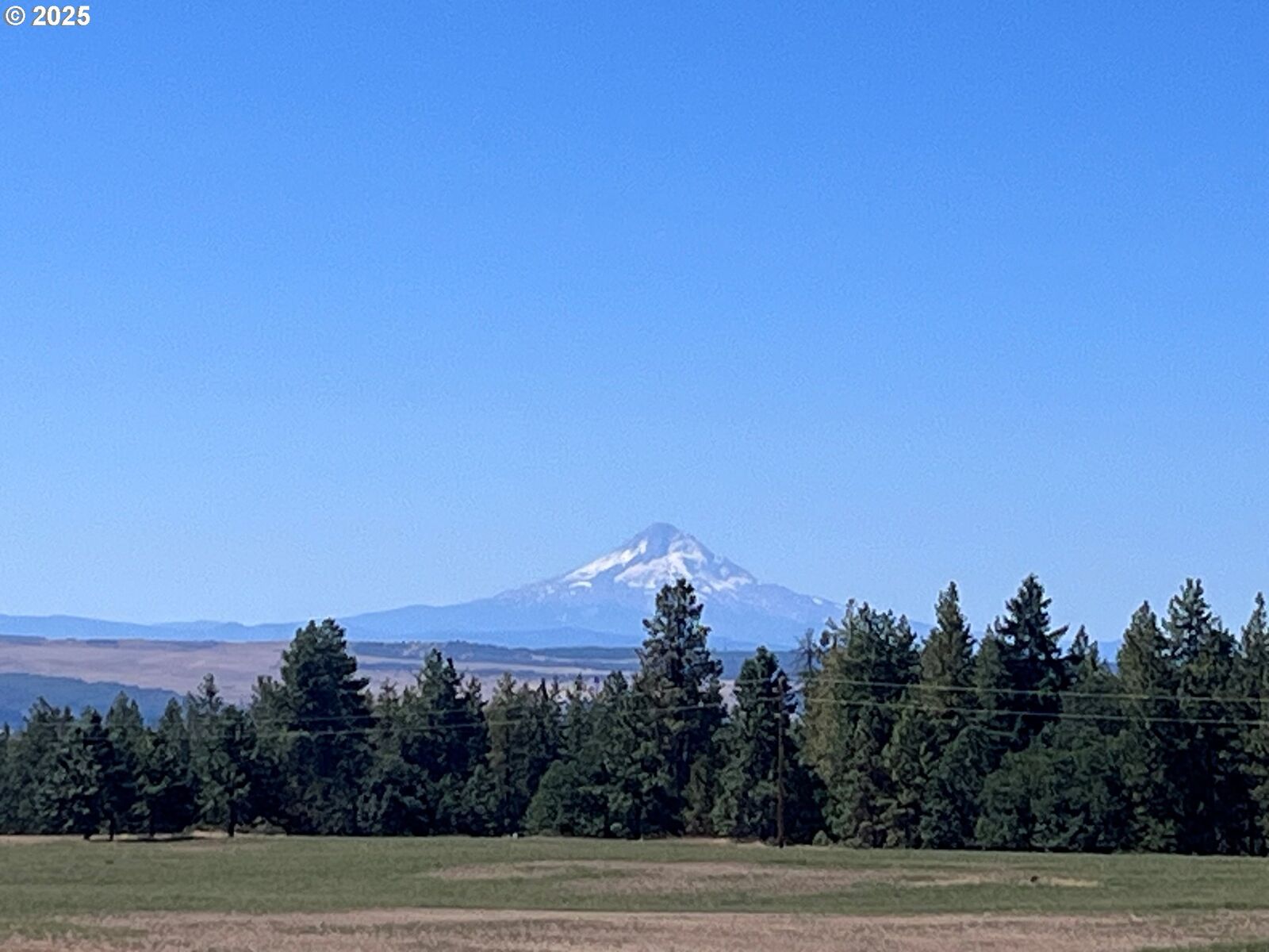 Property Photo: 25 Buena Vista Ct WA 98620