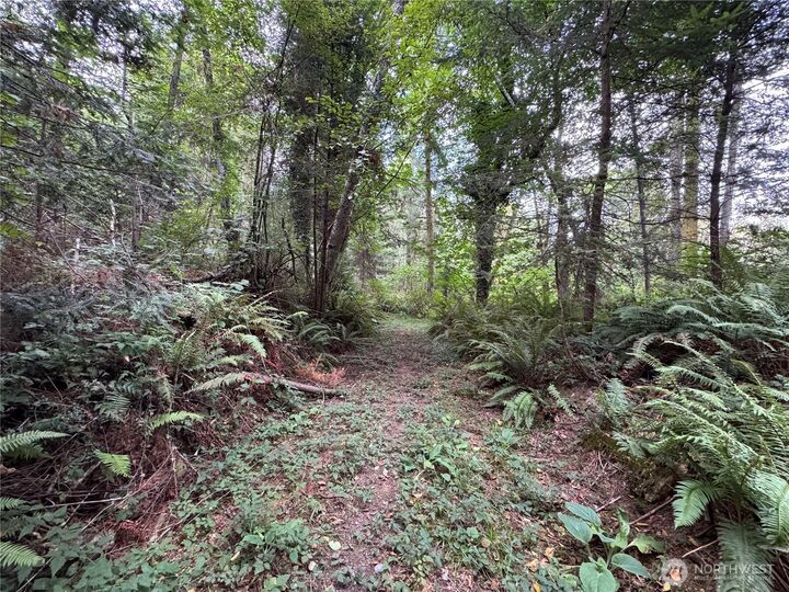 Property Photo: 0 Xxx Sills Road WA 98236