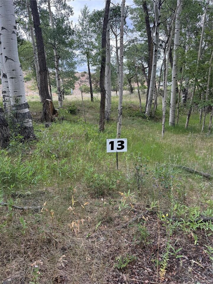 Property Photo: 17566 Trout Circle CO 81211