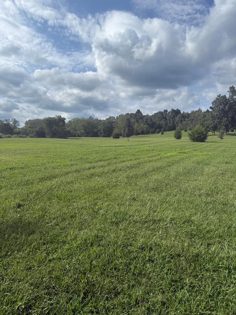 Property Photo: 311 Buchanan Road OH 45690