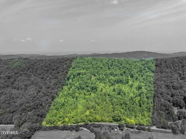 Property Photo: Tbd Grassy Creek Road TN 37857