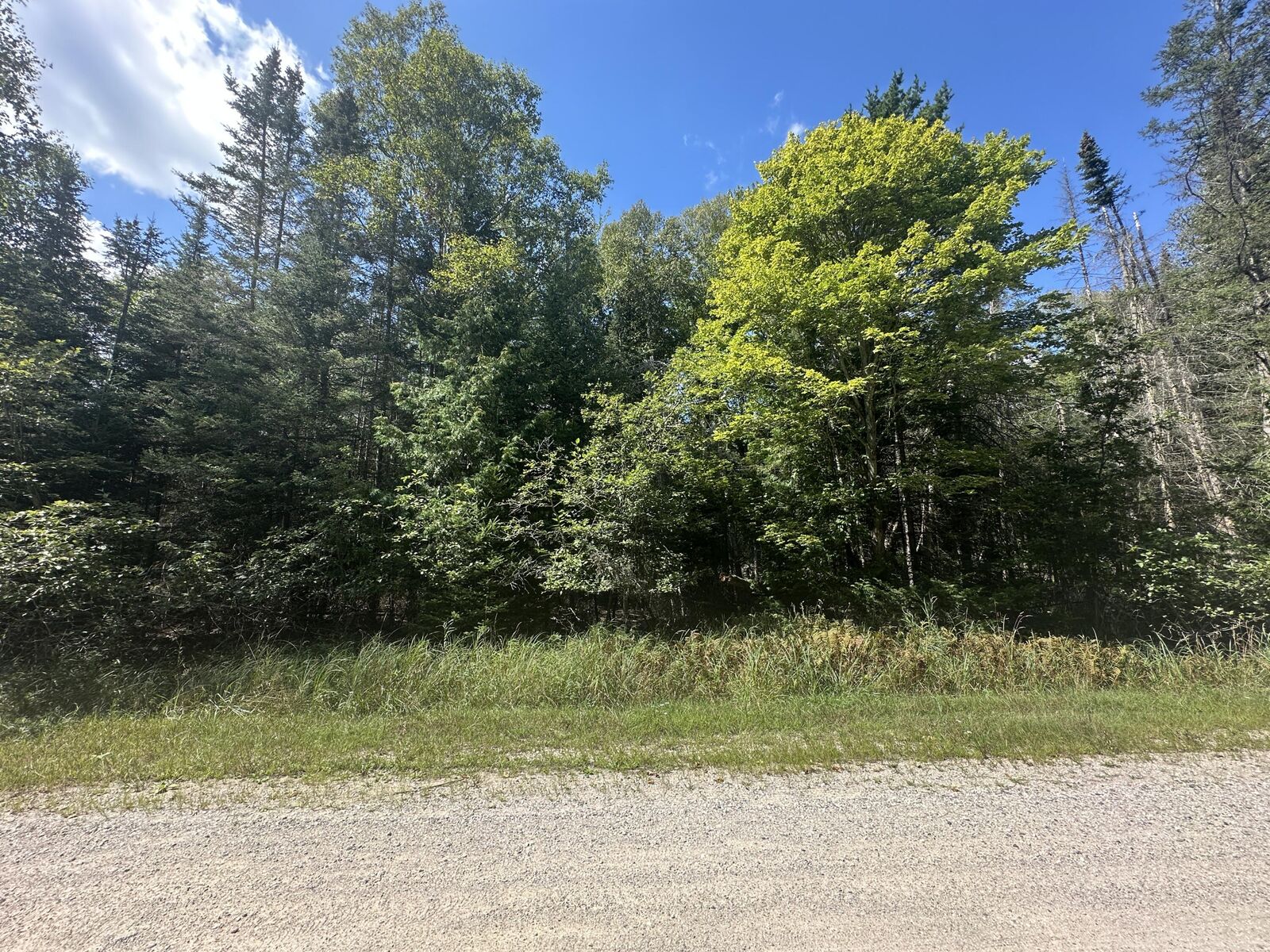 Property Photo: Lot 876 Cedarbrook Drive MI 48750