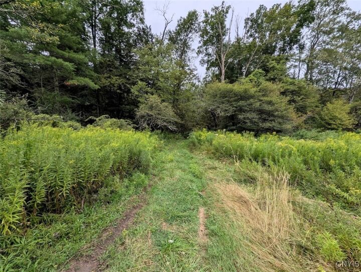 Property Photo: State Route 417 NY 14898