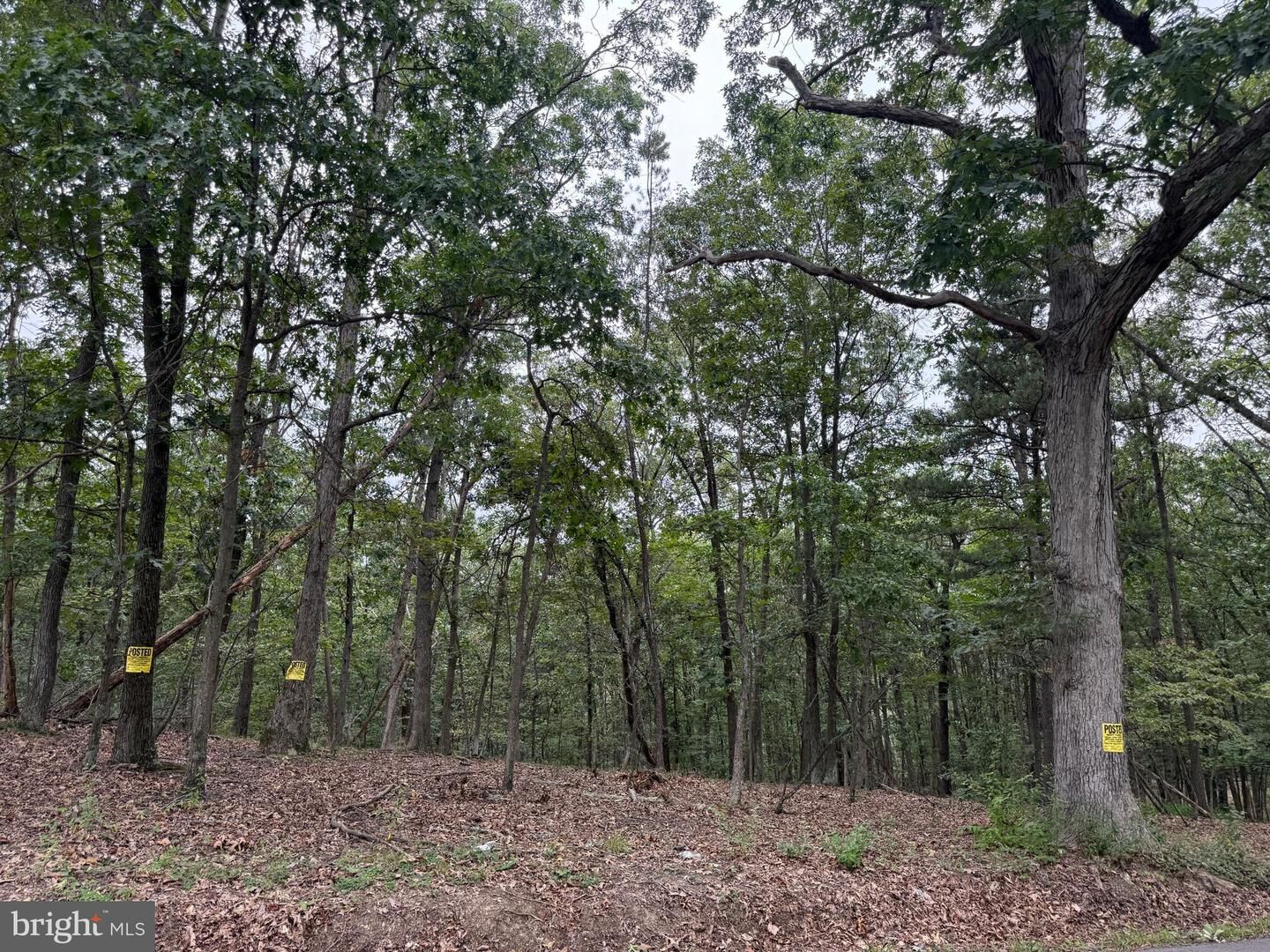 Property Photo: Middle Ridge Road WV 26757