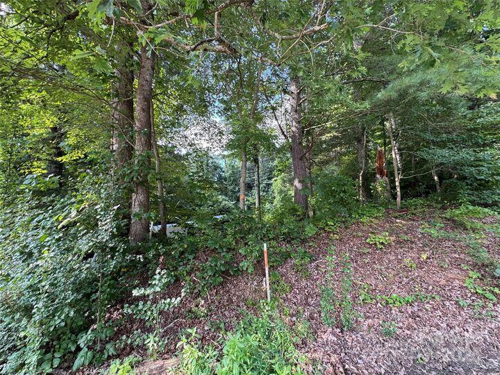 Property Photo: 181 Liberty Road NC 28715