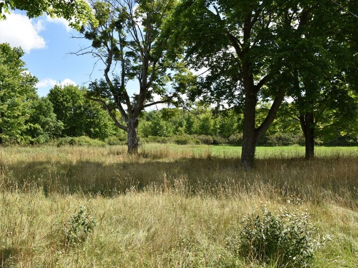 Property Photo: 15030 Middle Road PA 16335