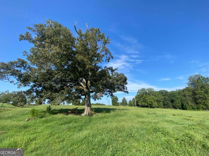 Property Photo:  2223 Salem Road  GA 30677 