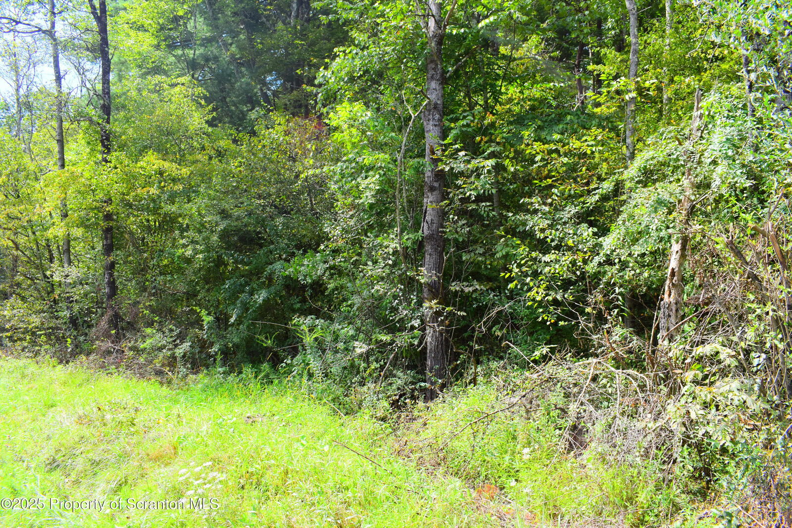 Property Photo:  Jackson Valley Road  PA 18830 