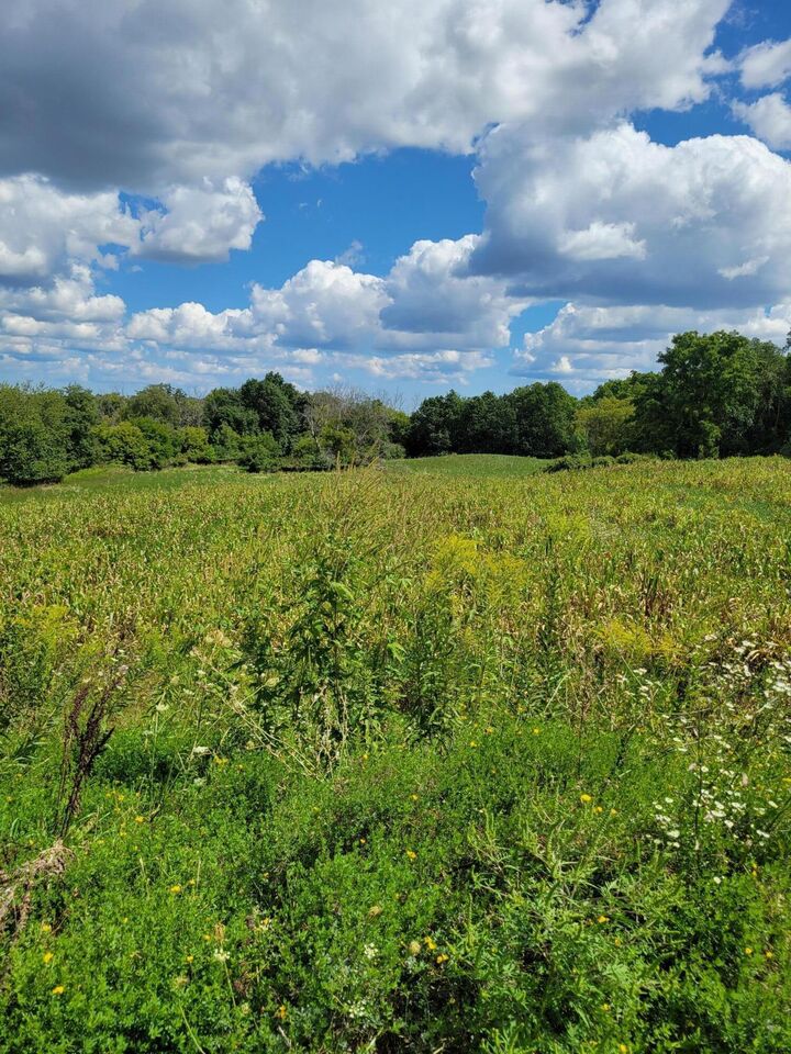 Property Photo: Lt0 Maple Ave WI 53089