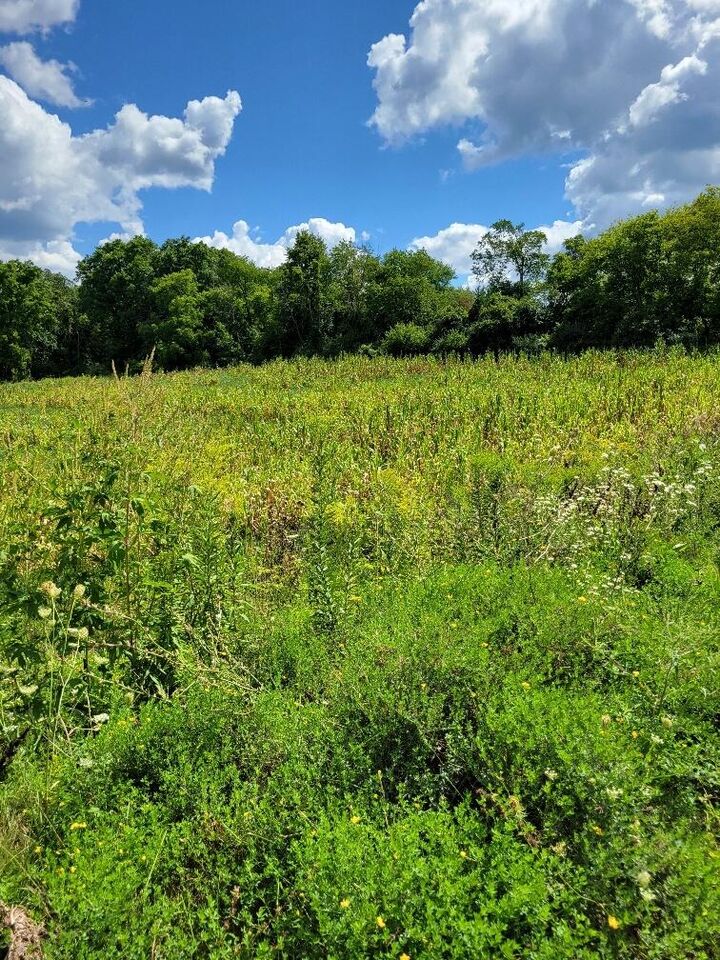 Property Photo:  Lt0 Maple Ave  WI 53089 